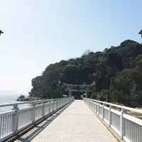竹島の写真・動画_image_60921