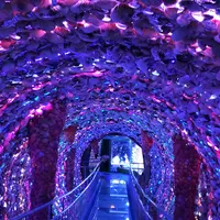 竹島ファンタジー館の写真・動画_image_60922