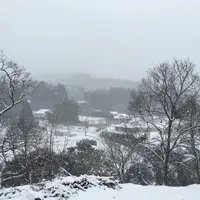 ビストロインえばーぐりーんの写真・動画_image_60939