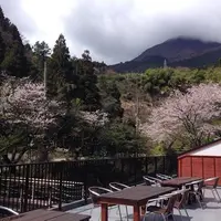 夢幻の里・春夏秋冬の写真・動画_image_60961