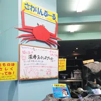 竹島水族館の写真・動画_image_60981