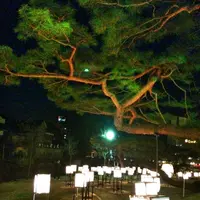 嬉野温泉公園の写真・動画_image_60993