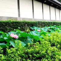 中信興産（株）の写真・動画_image_60996