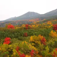 十勝岳望岳台の写真・動画_image_6100