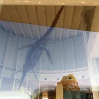 蒲郡情報ネットワークセンター生命の海科学館の写真・動画_image_61011
