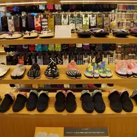 SOU•SOU 足袋の写真・動画_image_61075