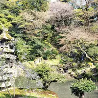 兼六園の写真・動画_image_610796