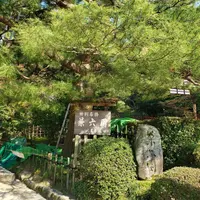 兼六園の写真・動画_image_610797