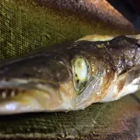 汐風 (上目黒店)の写真・動画_image_61089