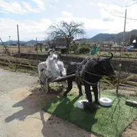 ぬくもり亭の写真・動画_image_611142