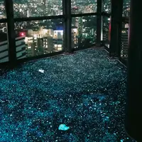 福岡タワーの写真・動画_image_611166
