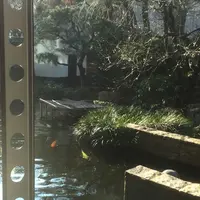 世田谷文学館の写真・動画_image_61122