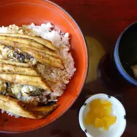 お食事・宴会 喜船の写真・動画_image_61156