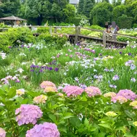 染谷花しょうぶ園の写真・動画_image_612348