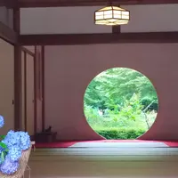 明月院（あじさい寺）の写真・動画_image_614361