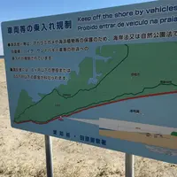太平洋ロングビーチの写真・動画_image_61448