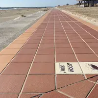 赤羽根ロコパークの写真・動画_image_61466