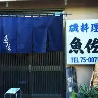 魚佐の写真・動画_image_61542