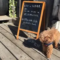 BAREFOOT COFFEEの写真・動画_image_61560