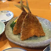 魚佐の写真・動画_image_61563