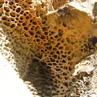 虫喰い岩の写真・動画_image_6157