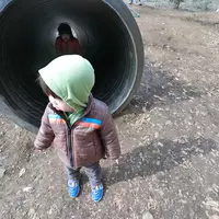 野山北公園・あそびの森・冒険の森の写真・動画_image_61576
