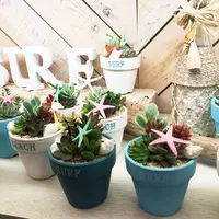 ダブルティーの写真・動画_image_61873