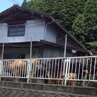 幸野川橋梁の写真・動画_image_61913