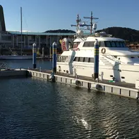 フェスティバルピアーの写真・動画_image_62199
