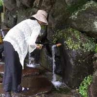 立岩水源公園の写真・動画_image_62244