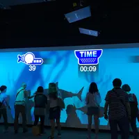 安永心食館—鑽石級緑建築観光工廠の写真・動画_image_623613