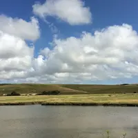 ブライトンの写真・動画_image_62363