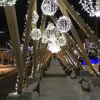 函館駅の写真・動画_image_62482