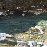 四万温泉の写真・動画_image_62494
