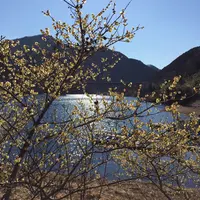 梅田ふるさとセンターの写真・動画_image_62590