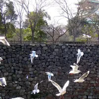 大阪歴史博物館の写真・動画_image_62787