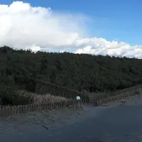 中田島砂丘の写真・動画_image_62918