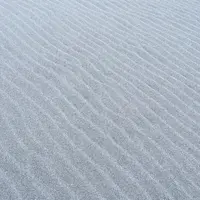 中田島砂丘の写真・動画_image_62942