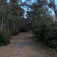 中田島砂丘の写真・動画_image_62948