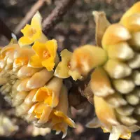あけぼの山公園の写真・動画_image_62990