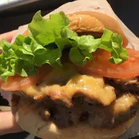 シェイクシャック 外苑いちょう並木店 （SHAKE SHACK）の写真・動画_image_63053