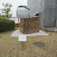 大阪府庁の写真・動画_image_631016