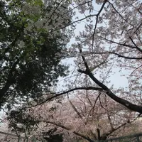 王子公園の写真・動画_image_631030