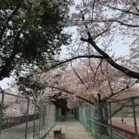 王子公園の写真・動画_image_631031