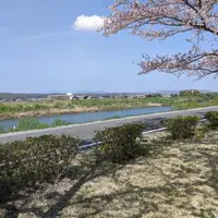 おの桜づつみ回廊の写真・動画_image_631156