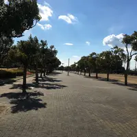 海浜公園の写真・動画_image_63178