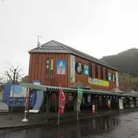 舞鶴港 とれとれセンター・夢やの写真・動画_image_636718