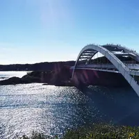 大島の写真・動画_image_63762