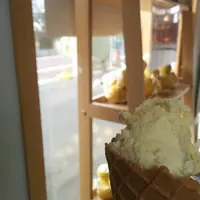 ココジェラートの写真・動画_image_63772