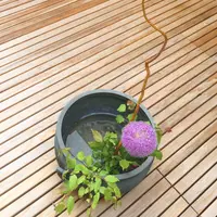 和多屋別荘の写真・動画_image_63826